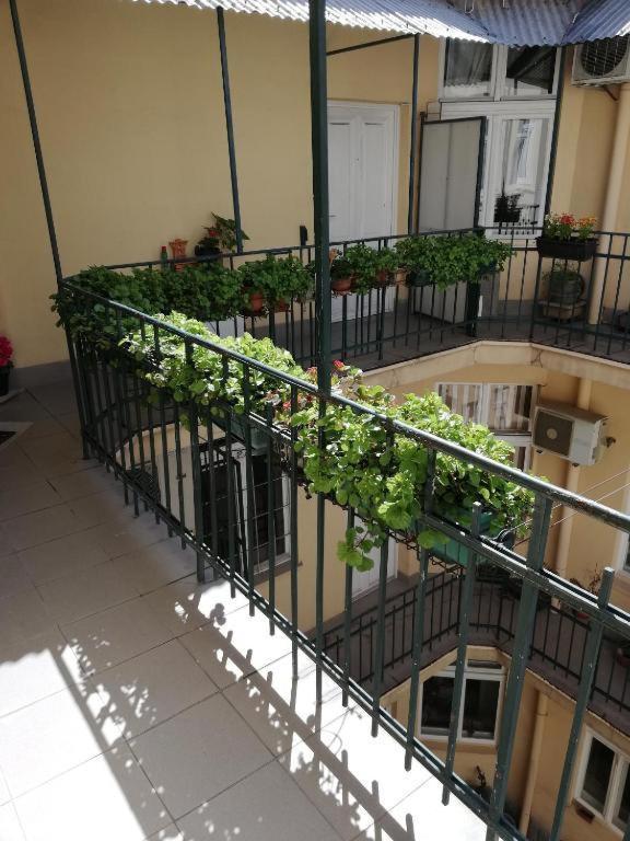 Oaza 26 Deo 2 Apartman Belgrád Kültér fotó