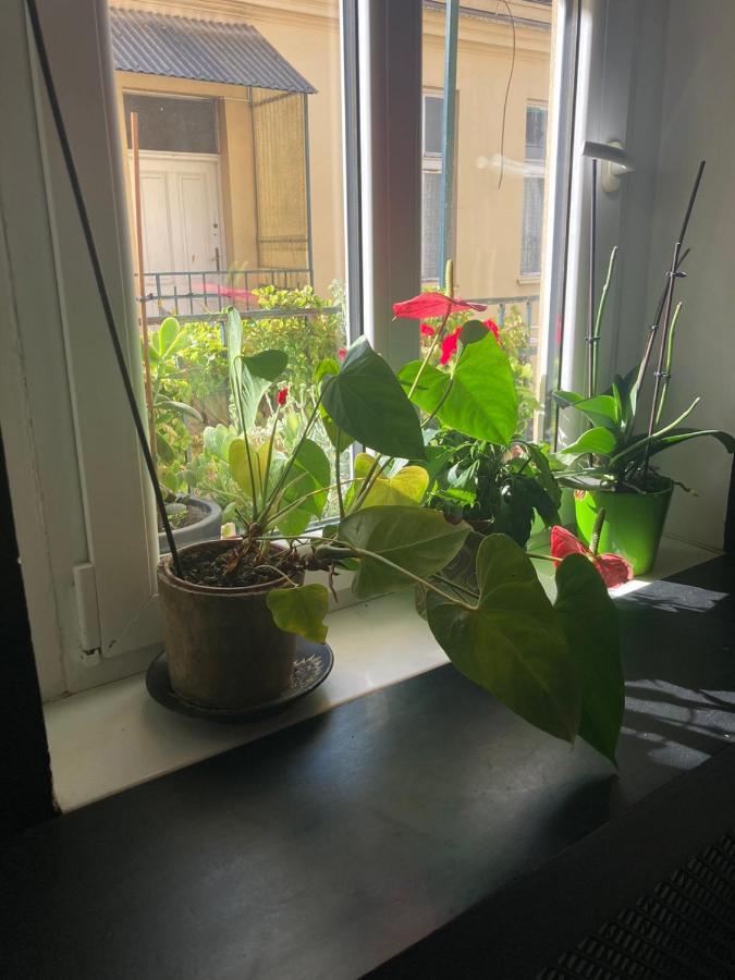 Oaza 26 Deo 2 Apartman Belgrád Kültér fotó
